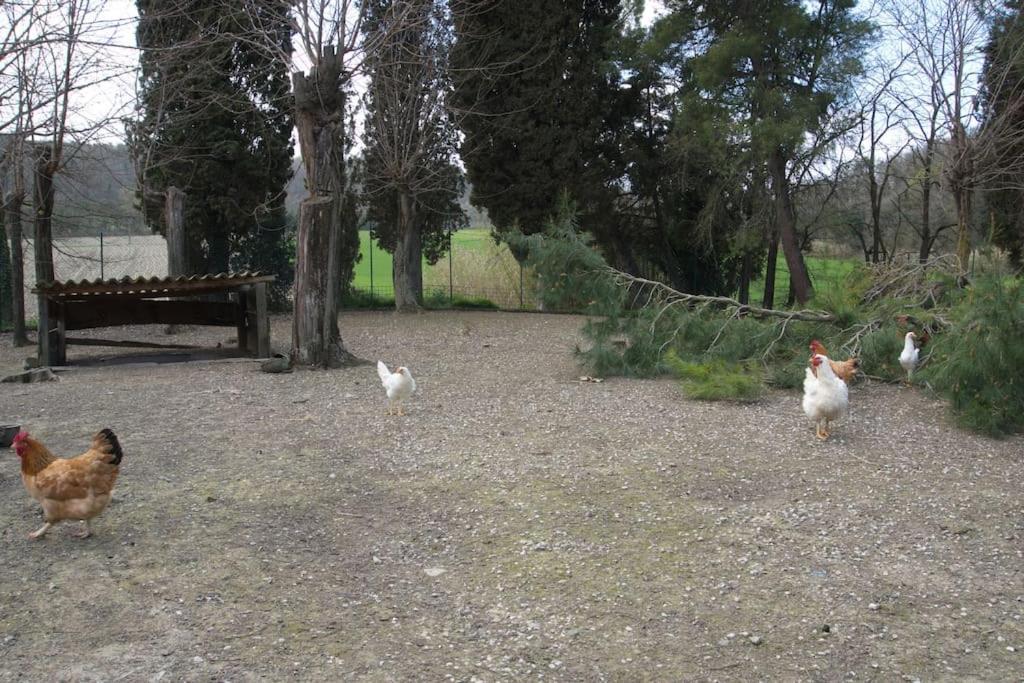 Casa Vacanze Podere San Giusto Волтера Екстериор снимка