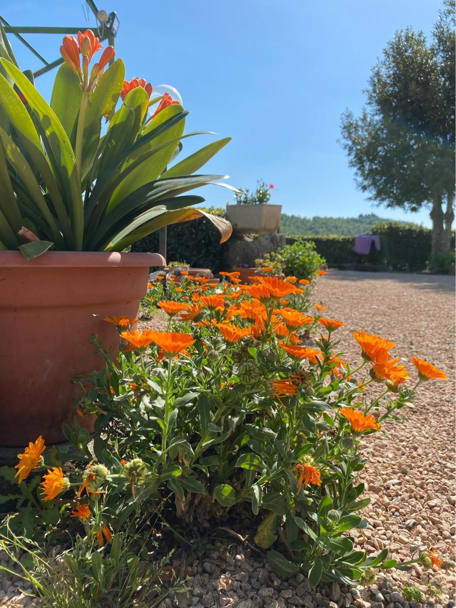 Casa Vacanze Podere San Giusto Волтера Екстериор снимка