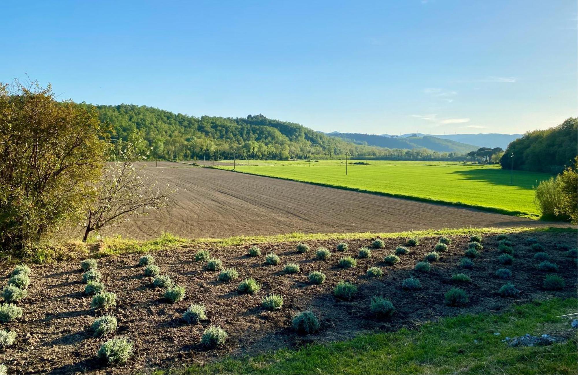 Casa Vacanze Podere San Giusto Волтера Екстериор снимка