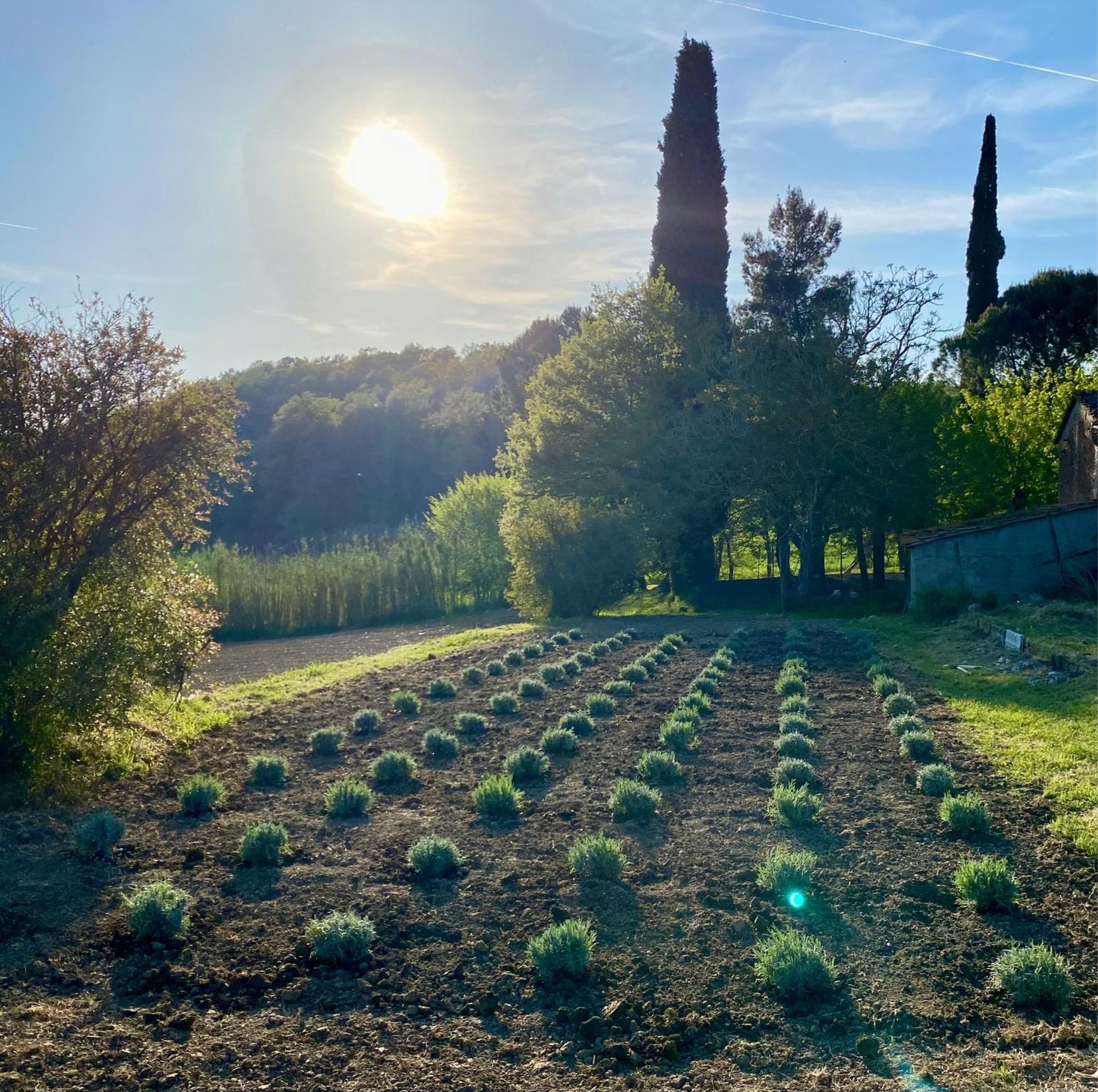 Casa Vacanze Podere San Giusto Волтера Екстериор снимка