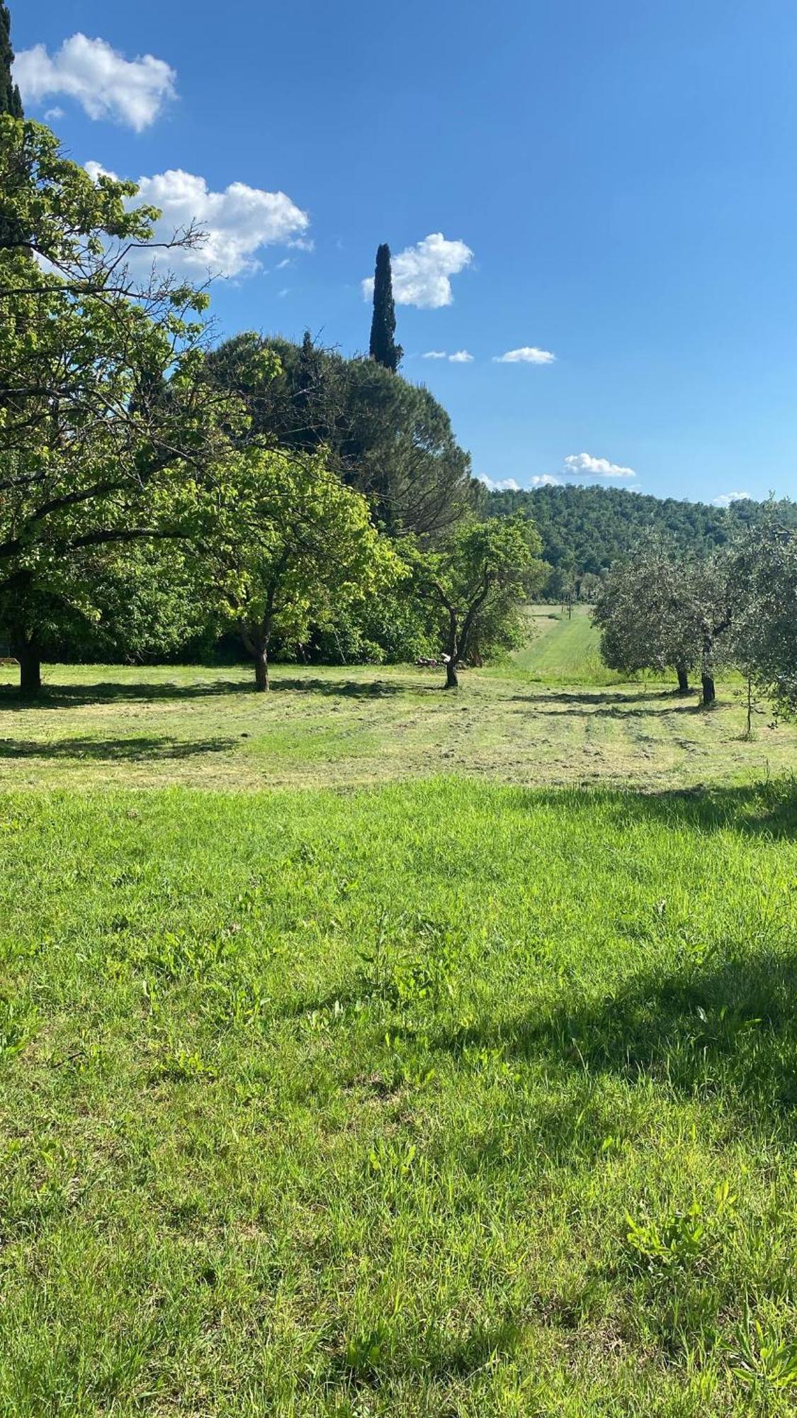 Casa Vacanze Podere San Giusto Волтера Екстериор снимка