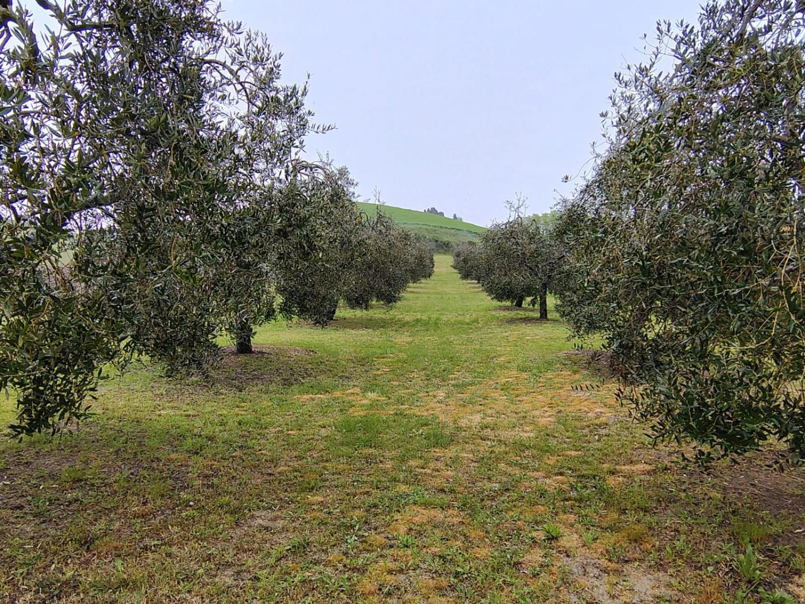 Casa Vacanze Podere San Giusto Волтера Екстериор снимка