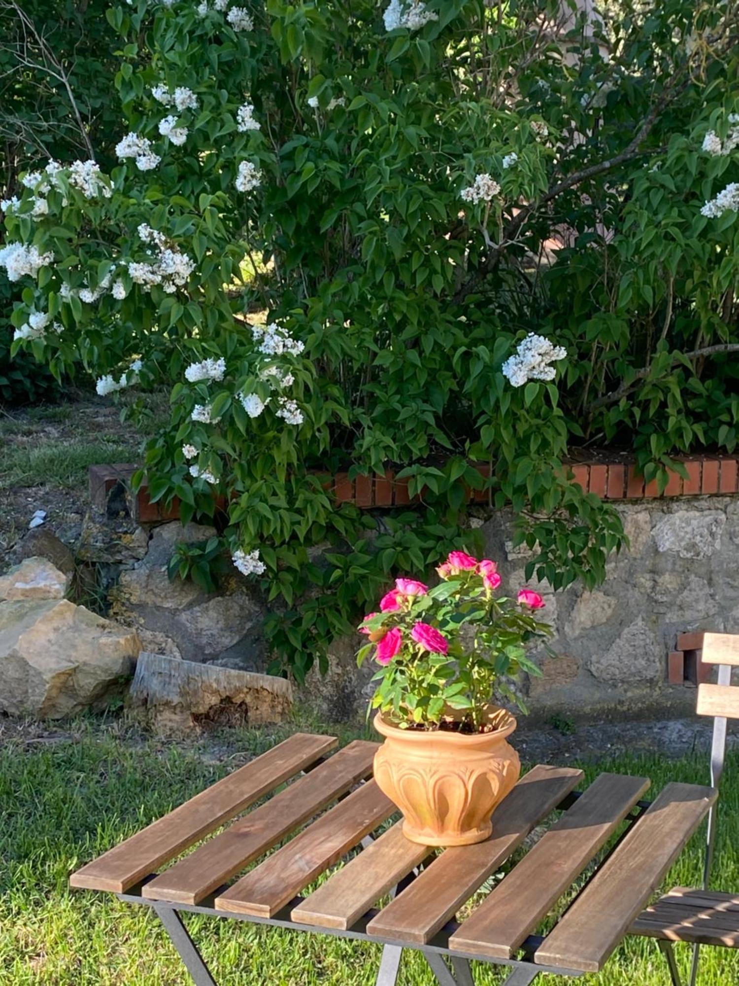 Casa Vacanze Podere San Giusto Волтера Екстериор снимка